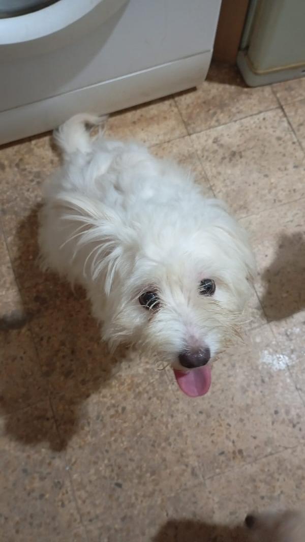 LUNA Foto 3